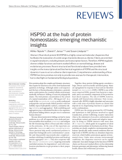 HSP90 at the hub of protein homeostasis:emerging