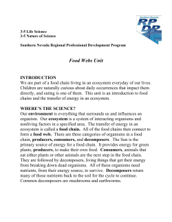 Food Webs Unit