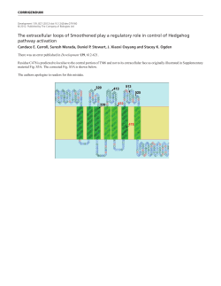 The extracellular loops of Smoothened play a