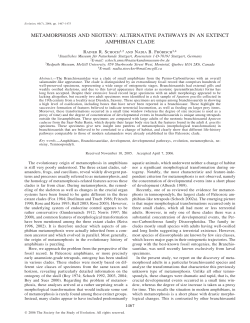 metamorphosis and neoteny: alternative
