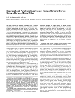 Structural and Functional Analyses of Human Cerebral Cortex Using