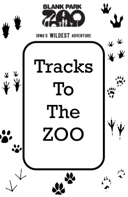 Tracks To The ZOO