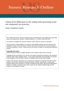 Colony-Level Differences in the Scaling Rules Governing Wood Ant