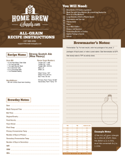 Strong Scotch Ale (Wee Heavy)