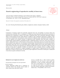 Genetic engineering of reproductive sterility in forest trees