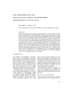 cell proliferation and specialization during