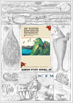 ICOFOM Study Series