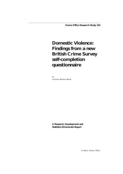Home Office Research Study 191 Domestic Violence Findings from