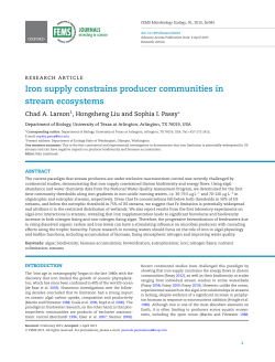 Iron supply constrains producer communities in stream ecosystems