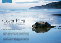 a superlative sea turtle country