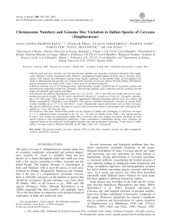 Chromosome Numbers and Genome Size