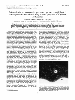 Polynucleobacter necessarius gen. nov. sp. nov. an Obligately