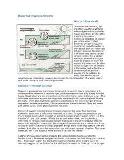 Dissolved Oxygen in Streams