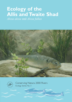 Ecology of the Allis and Twaite Shad