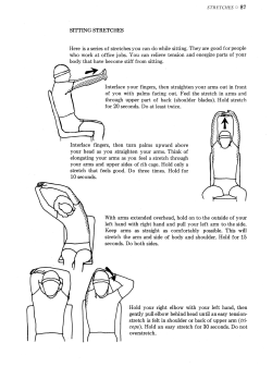 Seated Stretches