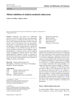 Mitotic inhibition of clathrin