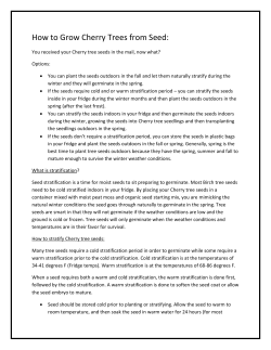 How to Grow Cherry Trees from Seed