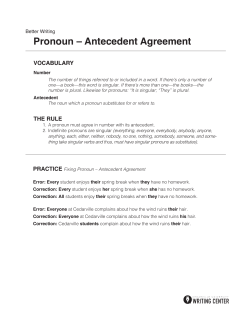 Pronoun &ndash; Antecedent Agreement