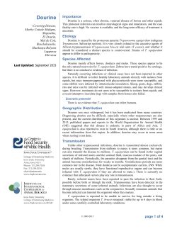 Dourine - The Center for Food Security and Public Health