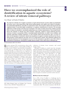 Have we overemphasized the role of denitrification in aquatic