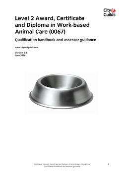 Level 2 Award, Certificate and Diploma in Work