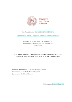 electrochemical sensors based on single