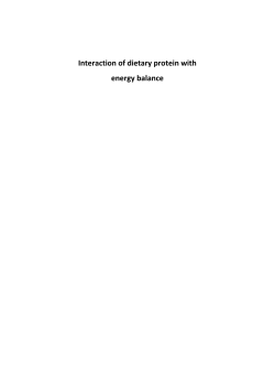 Interaction of dietary protein with energy balance