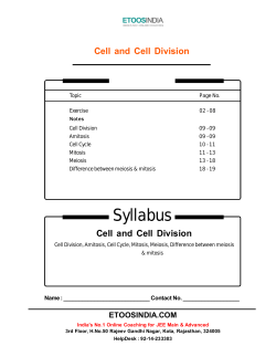 cell division