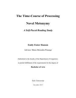 The Time-Course of Processing Novel Metonymy