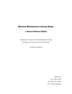 3 Consolidation and memory maintenance during sleep