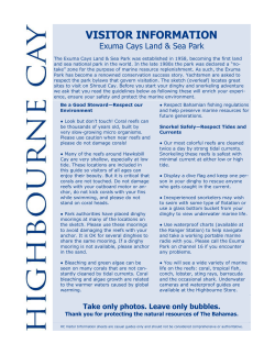 Dinghy and Snorkeling Guide to Shroud Cay