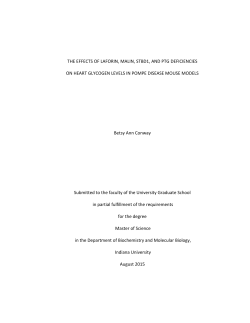 THE EFFECTS OF LAFORIN, MALIN, STBD1, AND PTG