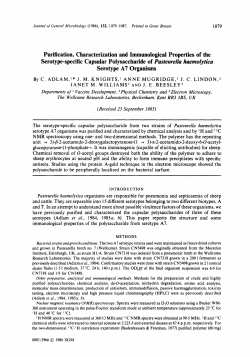 Purification, Characterization and Immunological