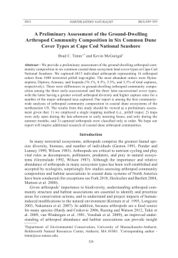 A Preliminary Assessment of the Ground