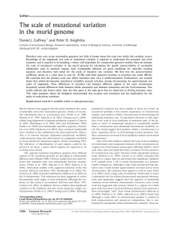 The scale of mutational variation in the murid genome