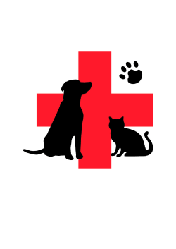 Useful Animal First Aid Info