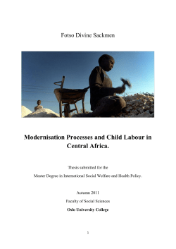Modernisation Processes and Child Labour in Central Africa.