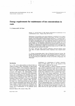 Energy requirements for maintenance of ion concentrations in roots