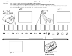 Directions: Label your pH scale. Be sure to indicate neutral, acidic