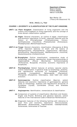 to view Curriculum Details