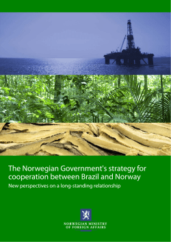 The Norwegian Government`s strategy for