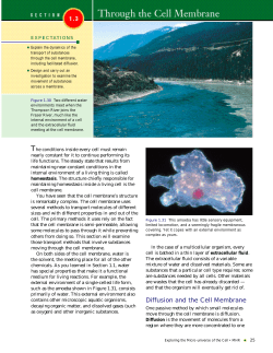 Diffusion and the Cell Membrane