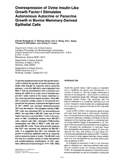 Overexpression of Ovine Insulin-Like Growth Factor