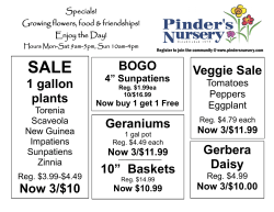 BOGO Geraniums 10&rdquo; Baskets Veggie Sale 1 gallon plants Now 3
