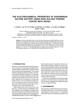 THE ELECTROCHEMICAL PROPERTIES OF SODIUM/IRON