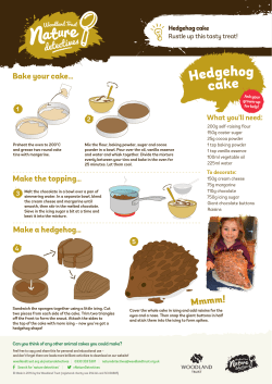 Bake your cake&hellip; - Woodland Trust