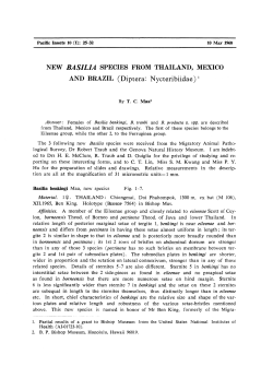 NEW BASILIA SPECIES FROM THAILAND, MEXICO AND BRAZIL