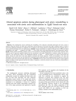 A ltered apoptosis pattern during pharyngeal arch artery remodelling