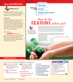 Fireflies - Humble ISD