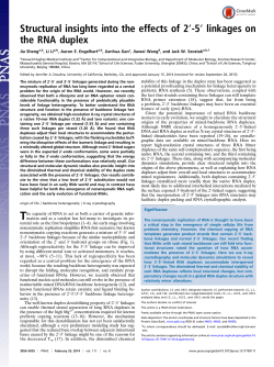 5&prime; linkages on the RNA duplex - Department of Molecular Biology